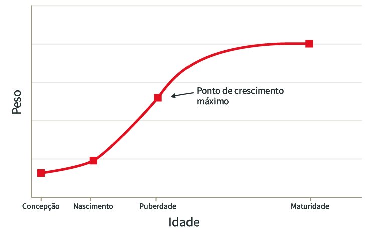 Curva de crescimento sigmoide (Adaptado de Owens et al., 1993) Curva de crescimento sigmoide (Adaptado de Owens et al., 1993) mento sigmoide (Adaptado de Owens et al., 1993)