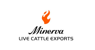 Marca-Live-Cattle