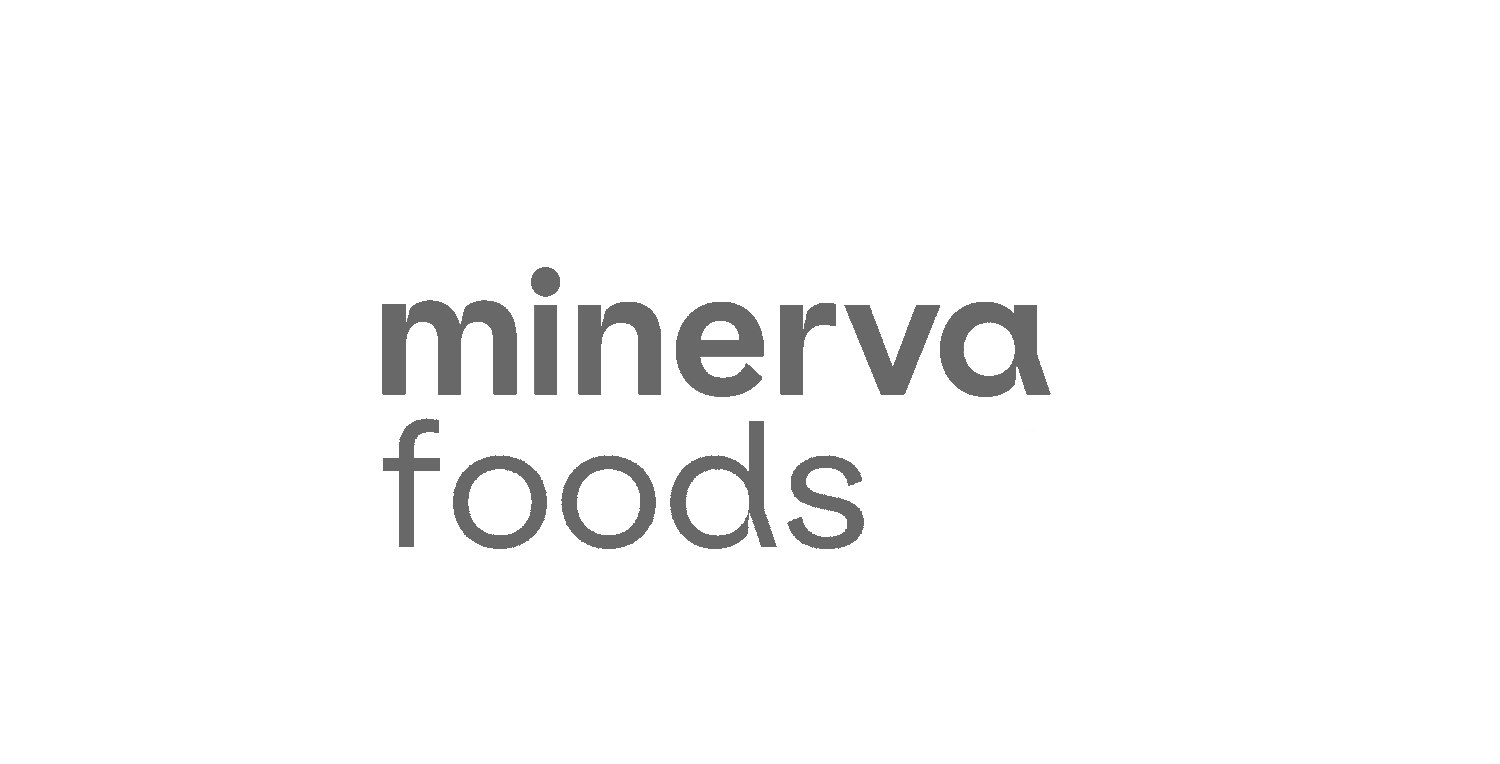 logo-minerva-cinza