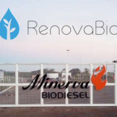 Minerva Biodiesel is certified for RenovaBio and complies with the national decarbonization policy