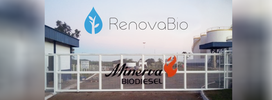 Minerva Biodiesel está certificado para RenovaBio y se adhiere a la política nacional de descarbonización Minerva Biodiesel está certificado para RenovaBio y se adhiere a la política nacional de descarbonización