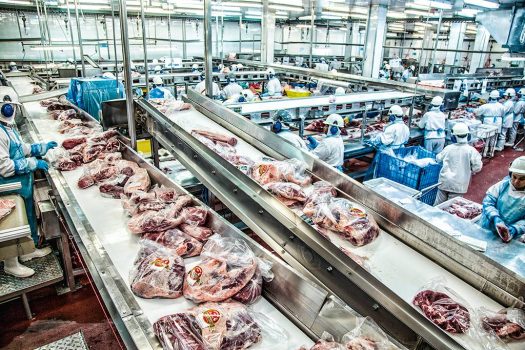 Minerva Foods já mapeia 100% dos fornecedores diretos no Paraguai Minerva Foods já mapeia 100% dos fornecedores diretos no Paraguai