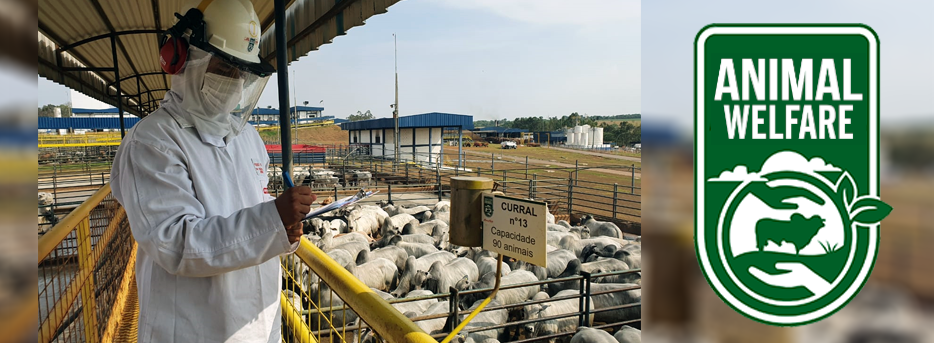 Unidade da Minerva de José Bonifácio (SP) é habilitada a exportar carne bovina in natura aos EUA Unidade da Minerva de José Bonifácio (SP) é habilitada a exportar carne bovina in natura aos EUA
