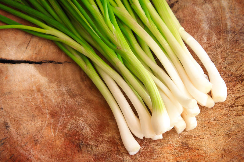 Vea como siempre tener cebolla de verdeo, albahaca y hierbabuena fresca en casa Vea como siempre tener cebolla de verdeo, albahaca y hierbabuena fresca en casa